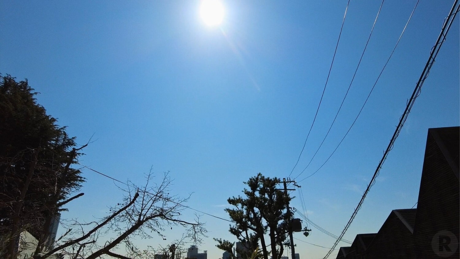 今日は朝から快晴でありがたいですが、かなり暑かった、その分体力も消耗。