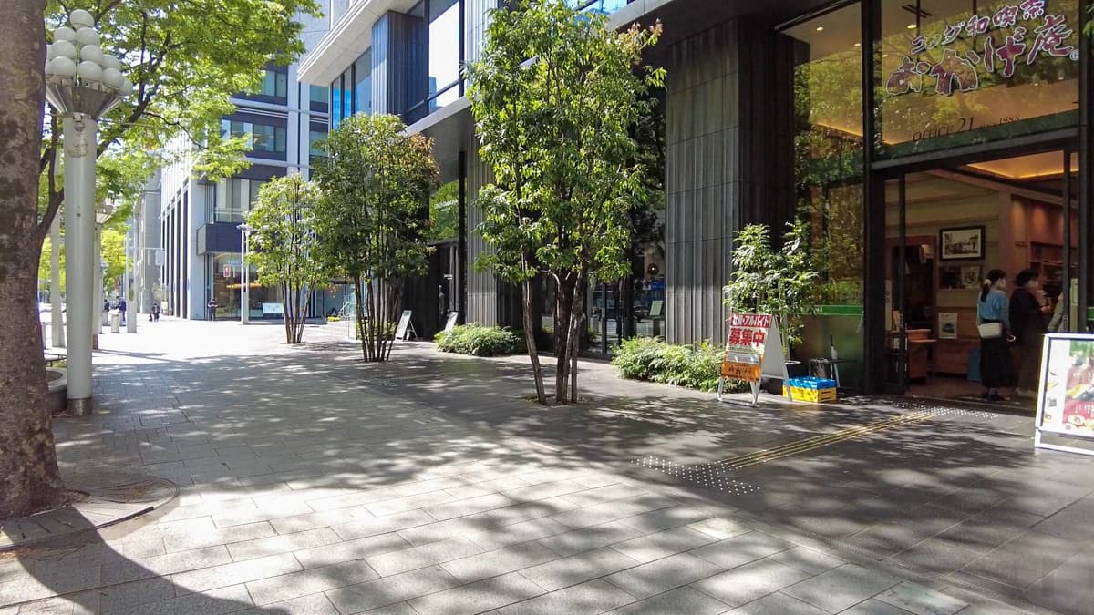 木漏れ日がいい感じ。