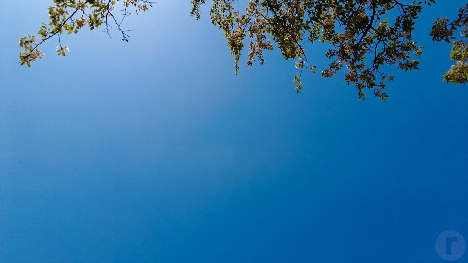 快晴の空