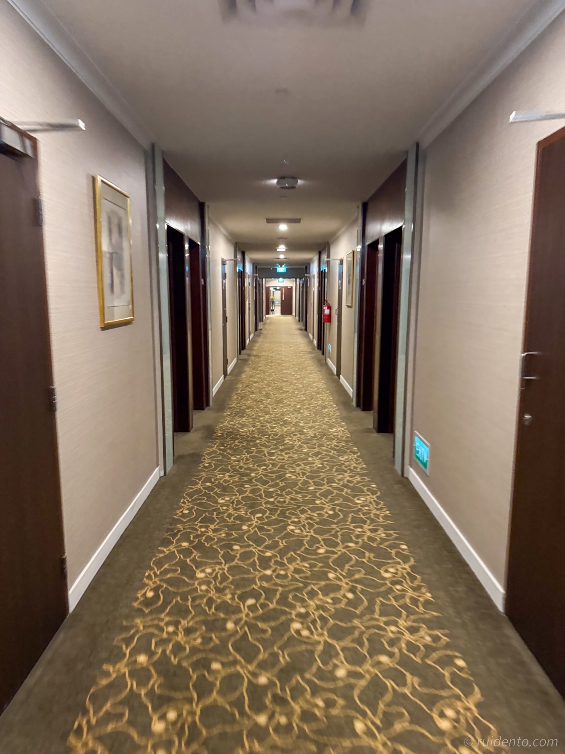 Ambassador Transit Hotel Terminal 2の廊下