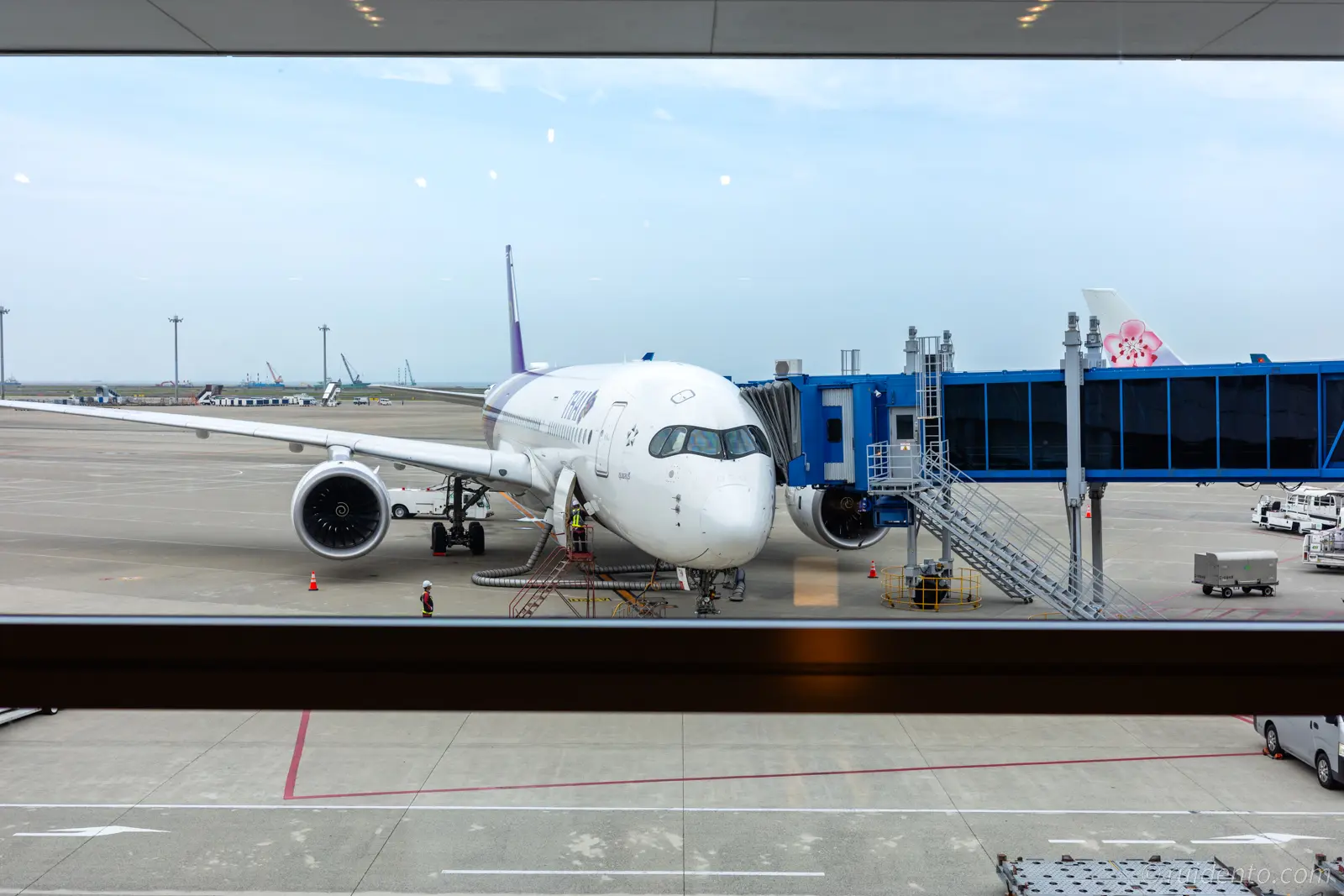 飛行機