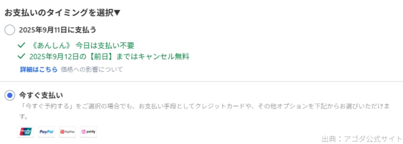 今すぐ支払い(クレジットカード/デビットカード)