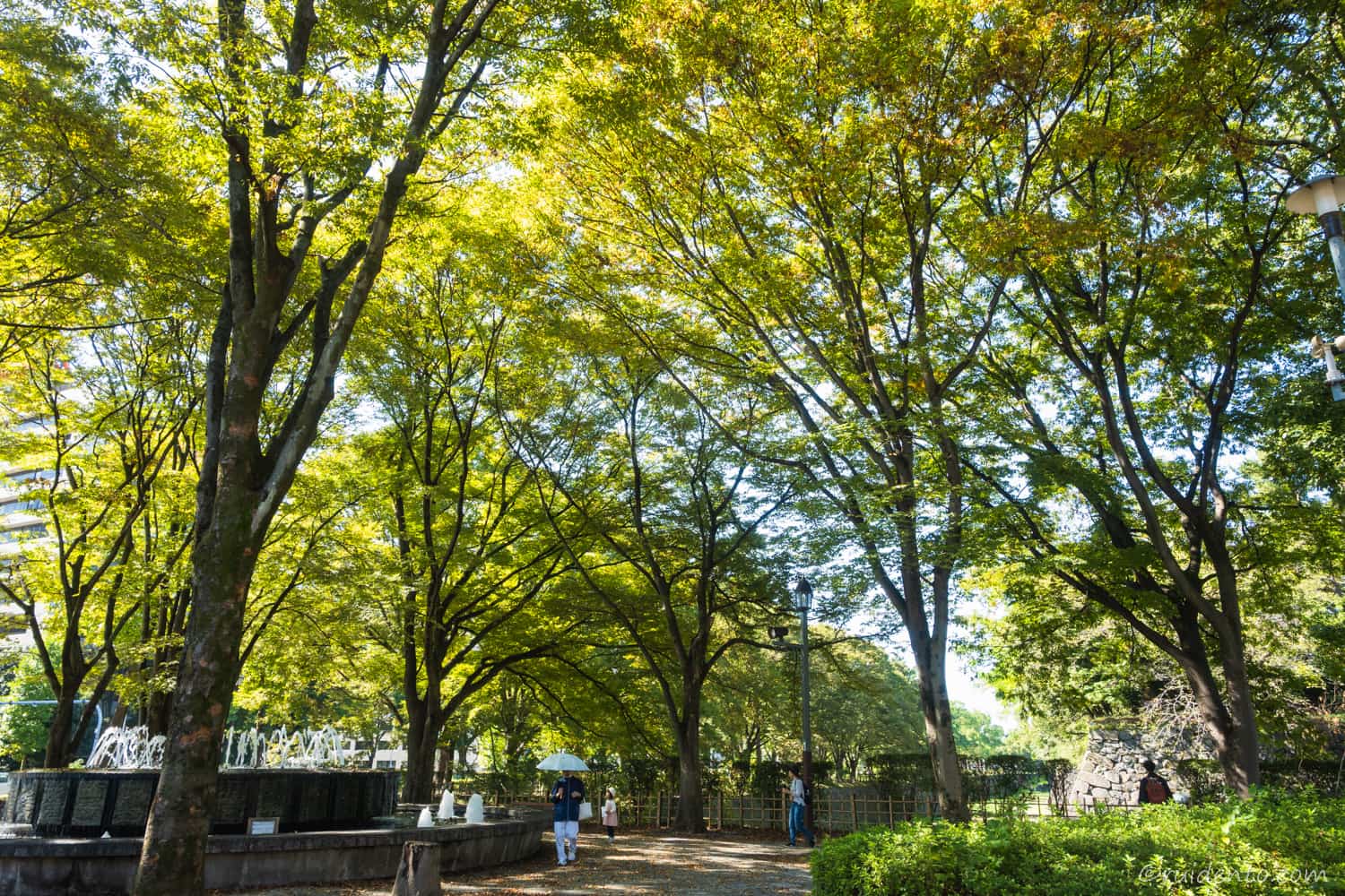 都会の喧騒を忘れさせてくれるような落ち着いた空間