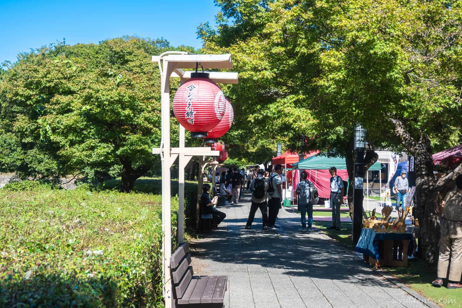 自然豊かな景色