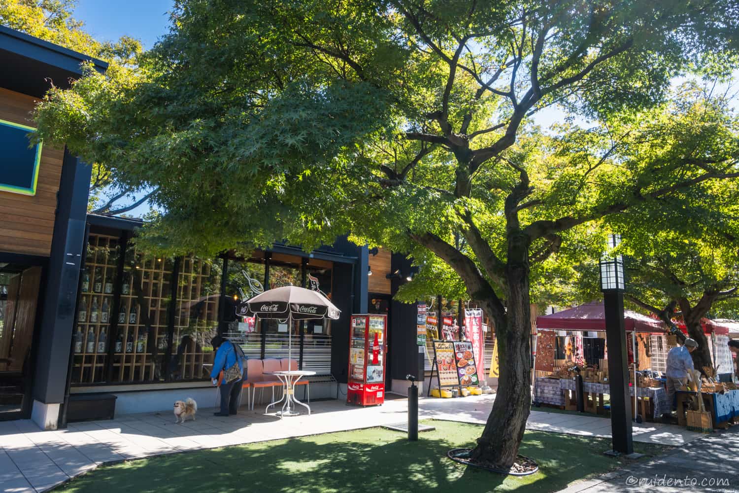 右手側にはガラス面を大きく装った明るいモダン和風建築