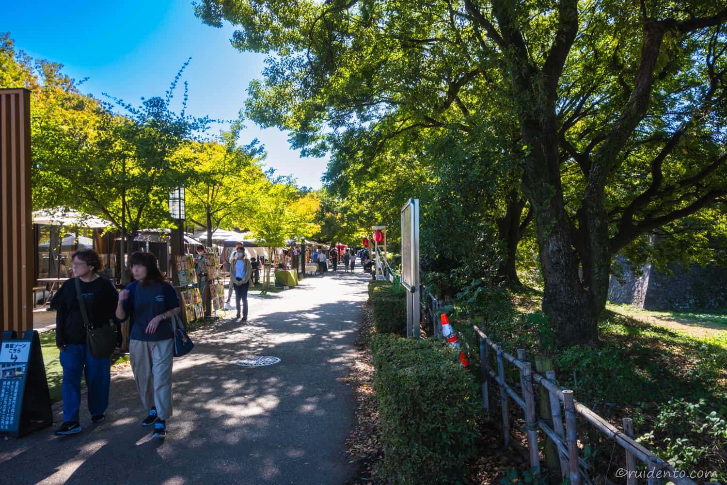 北側から見た道