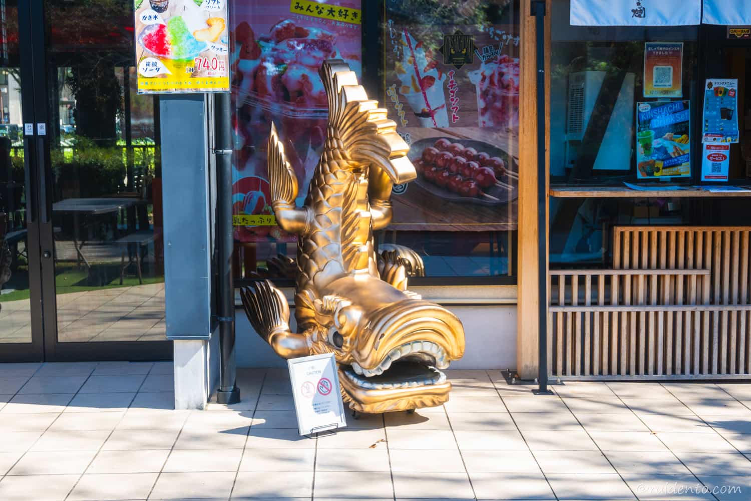 一回り大きい金のシャチホコ