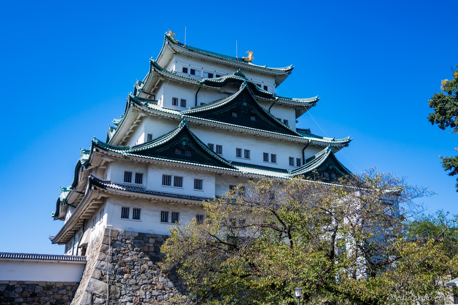 名古屋城下から見た様子