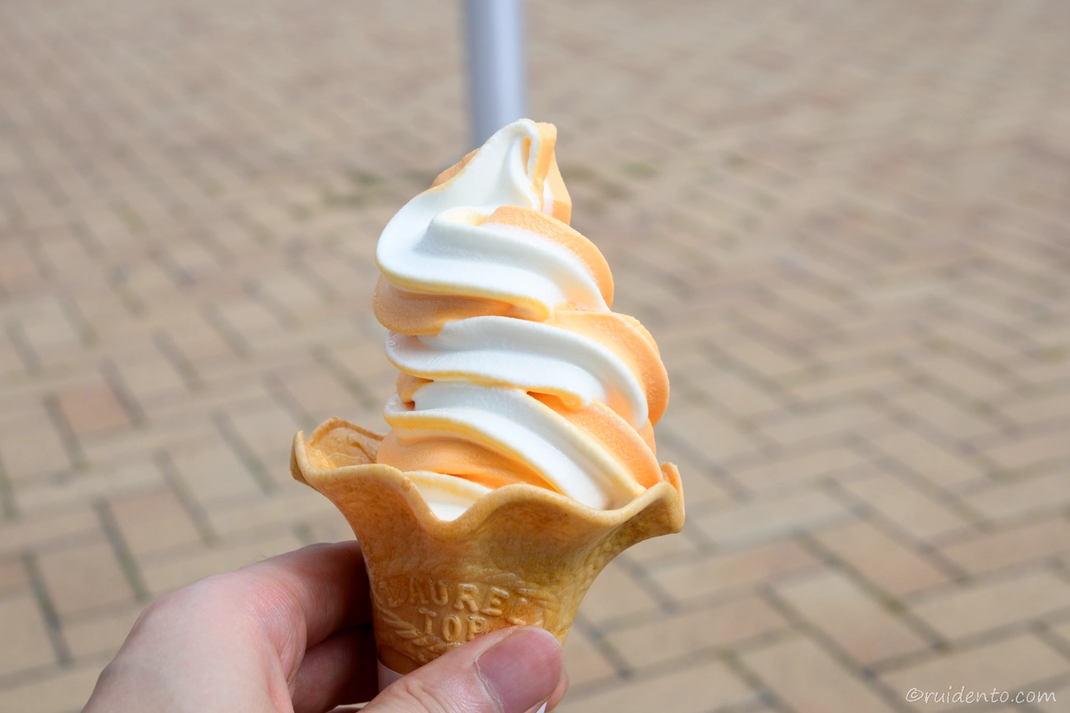 群馬旅行での活躍ポイントと作例8