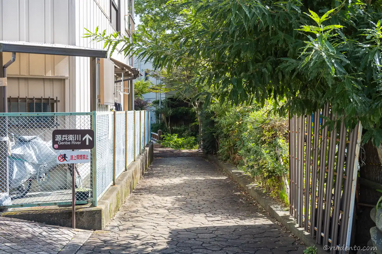 源兵衛川でせせらぎ散歩｜心安らぐ美しさ