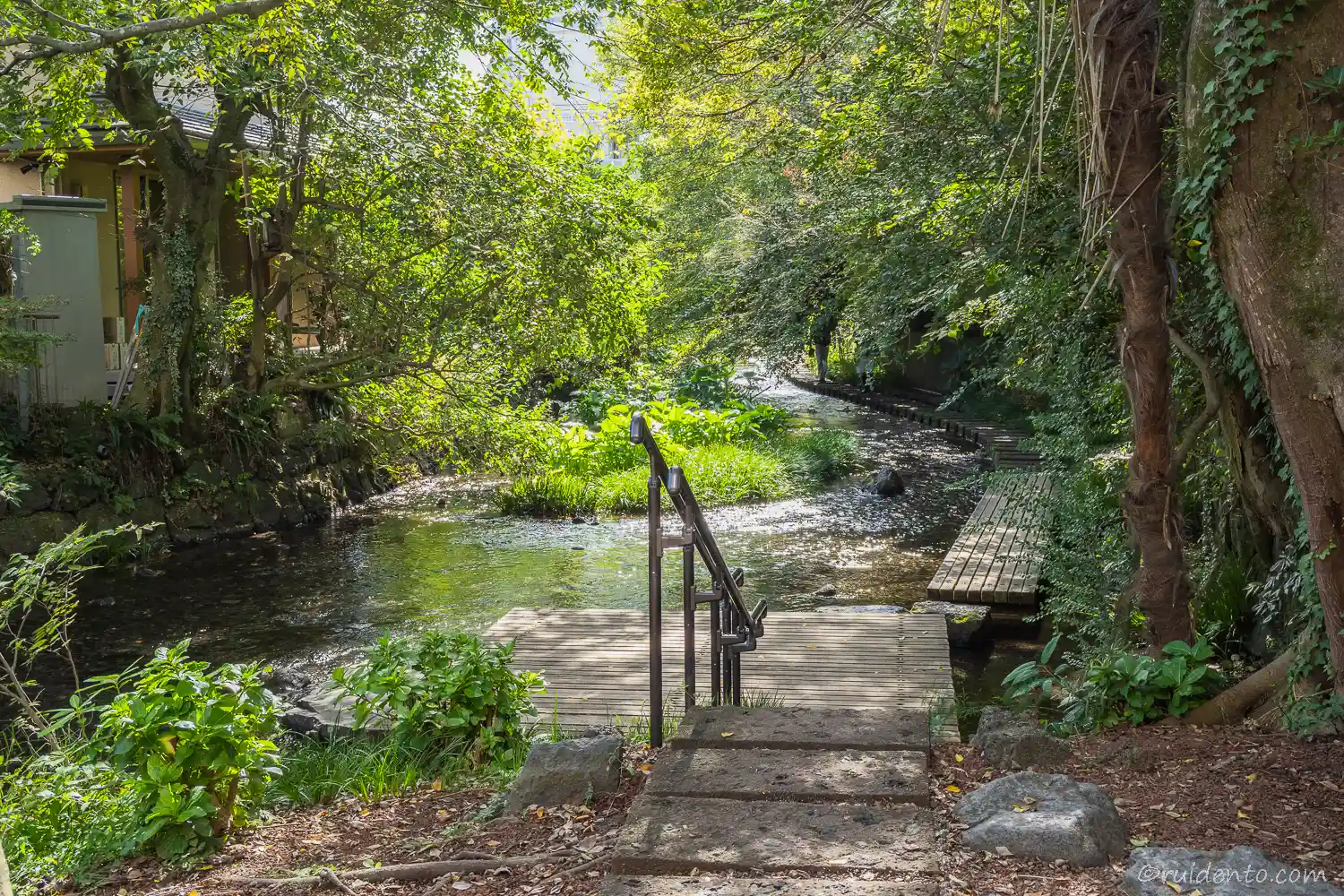 源兵衛川の入口