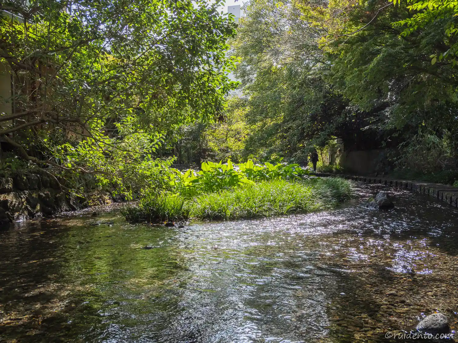 異世界のような景色