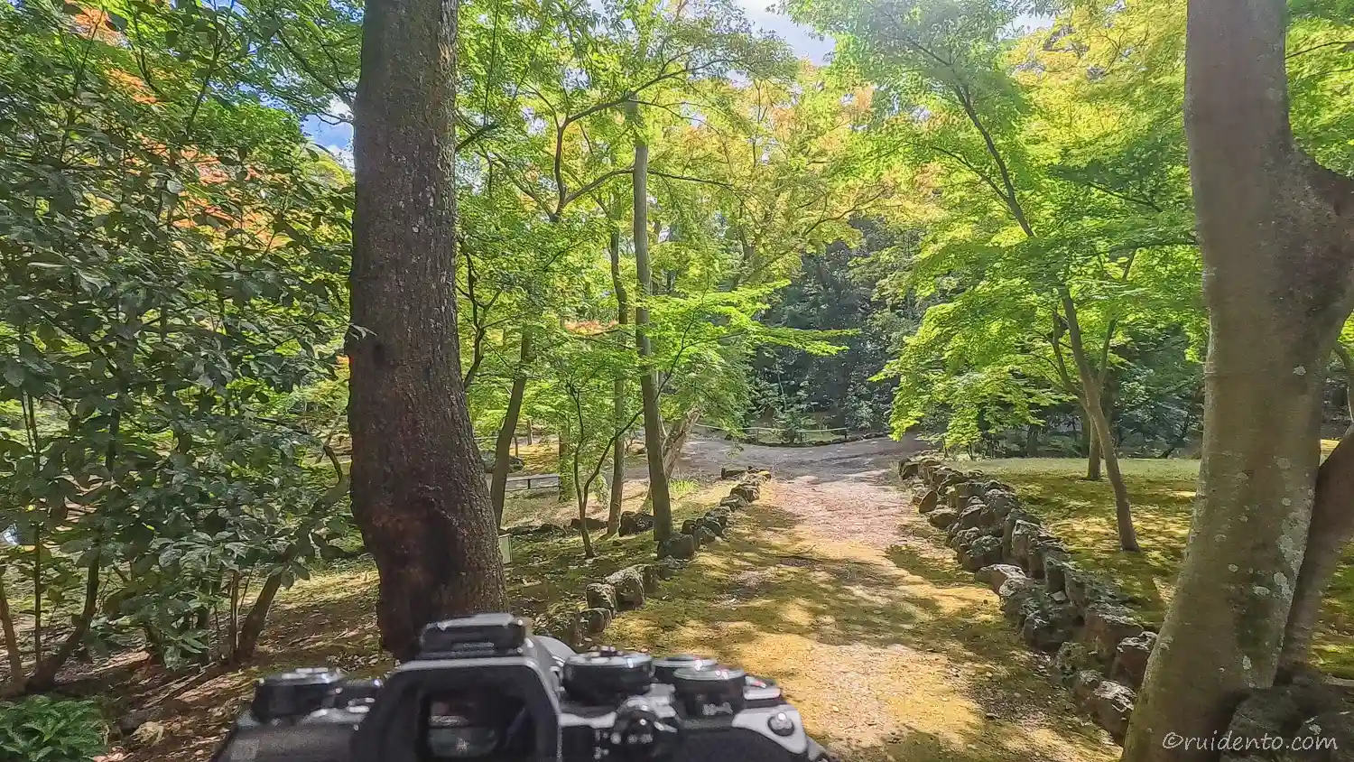 カメラと楽寿園