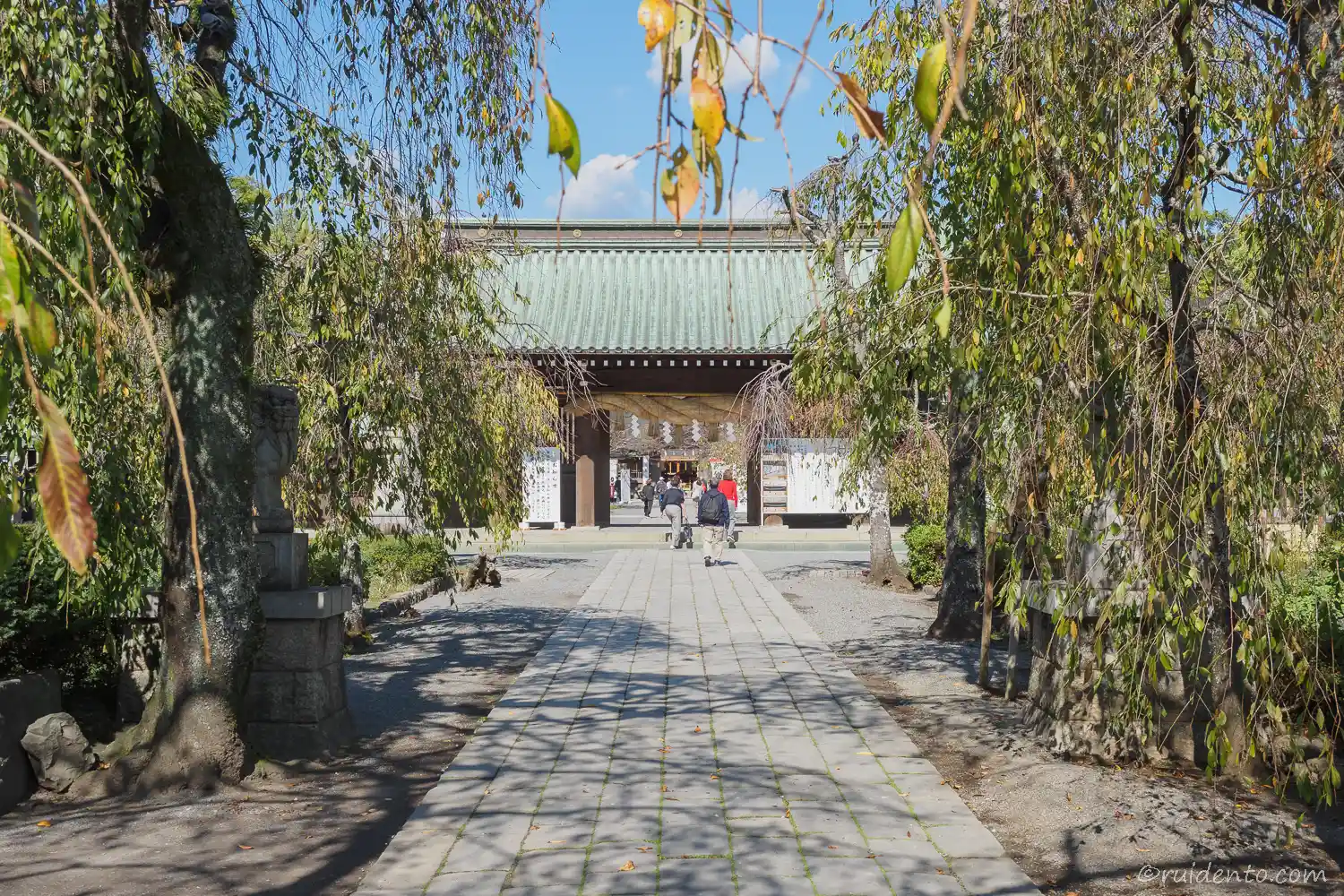 【レビュー】実際に歩いて感じた三嶋大社の魅力