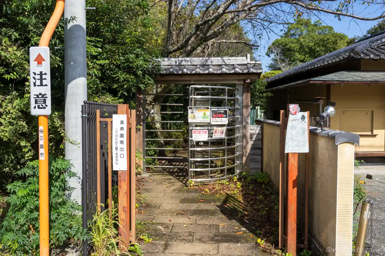 源兵衛川で水の都・三島を知る
