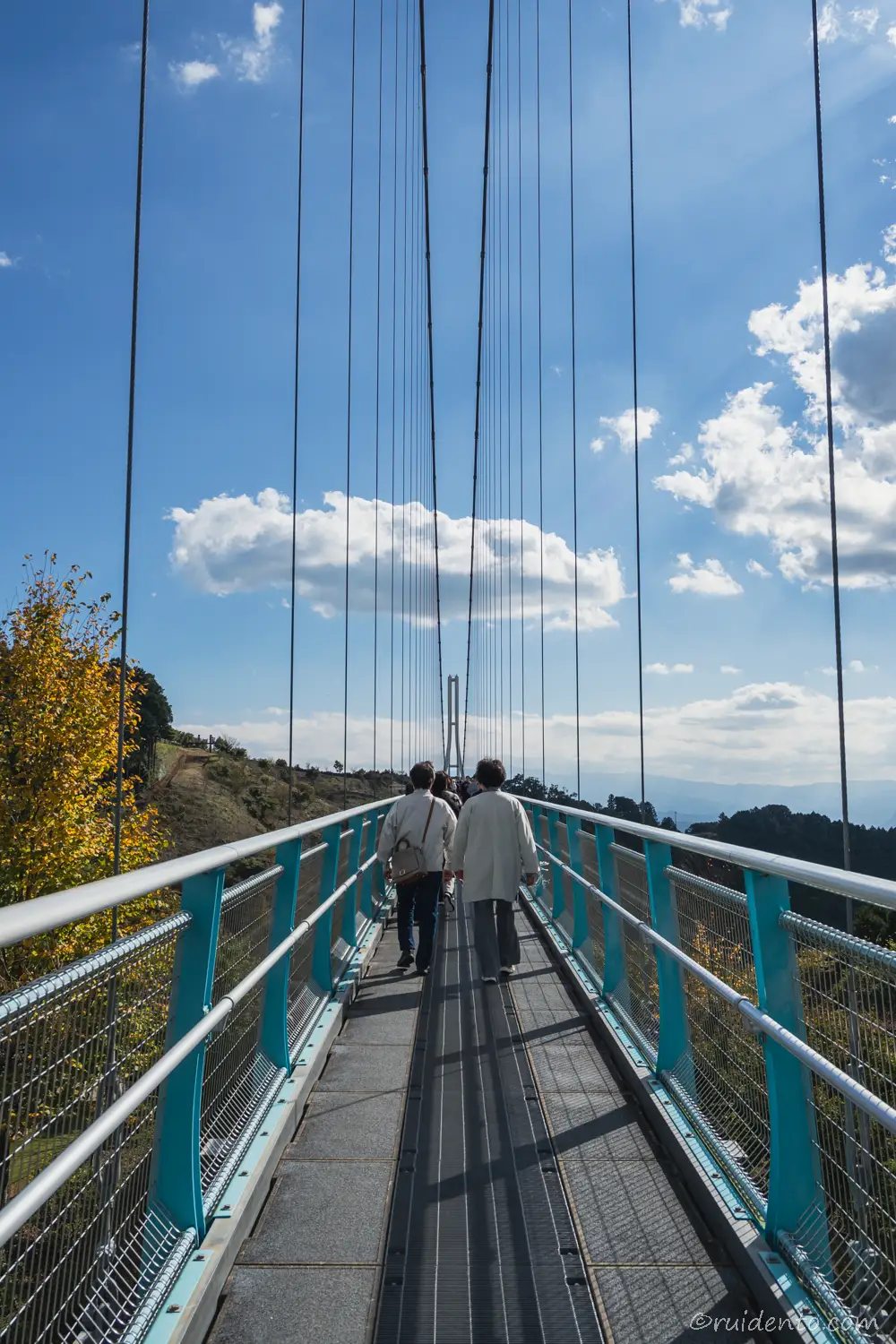 南エリアへ向かう吊橋からの様子