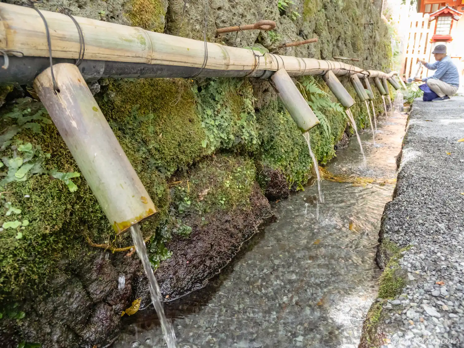 竹樋から富士山のご霊水