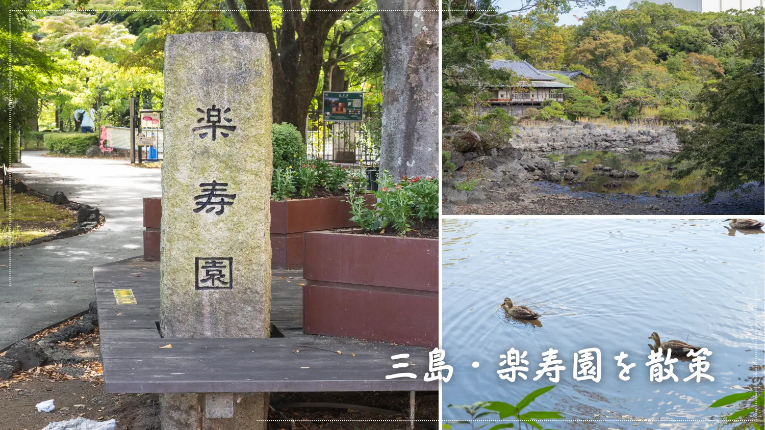 三島・楽寿園を散策｜駅から3分で自然を楽しめる癒しスポット