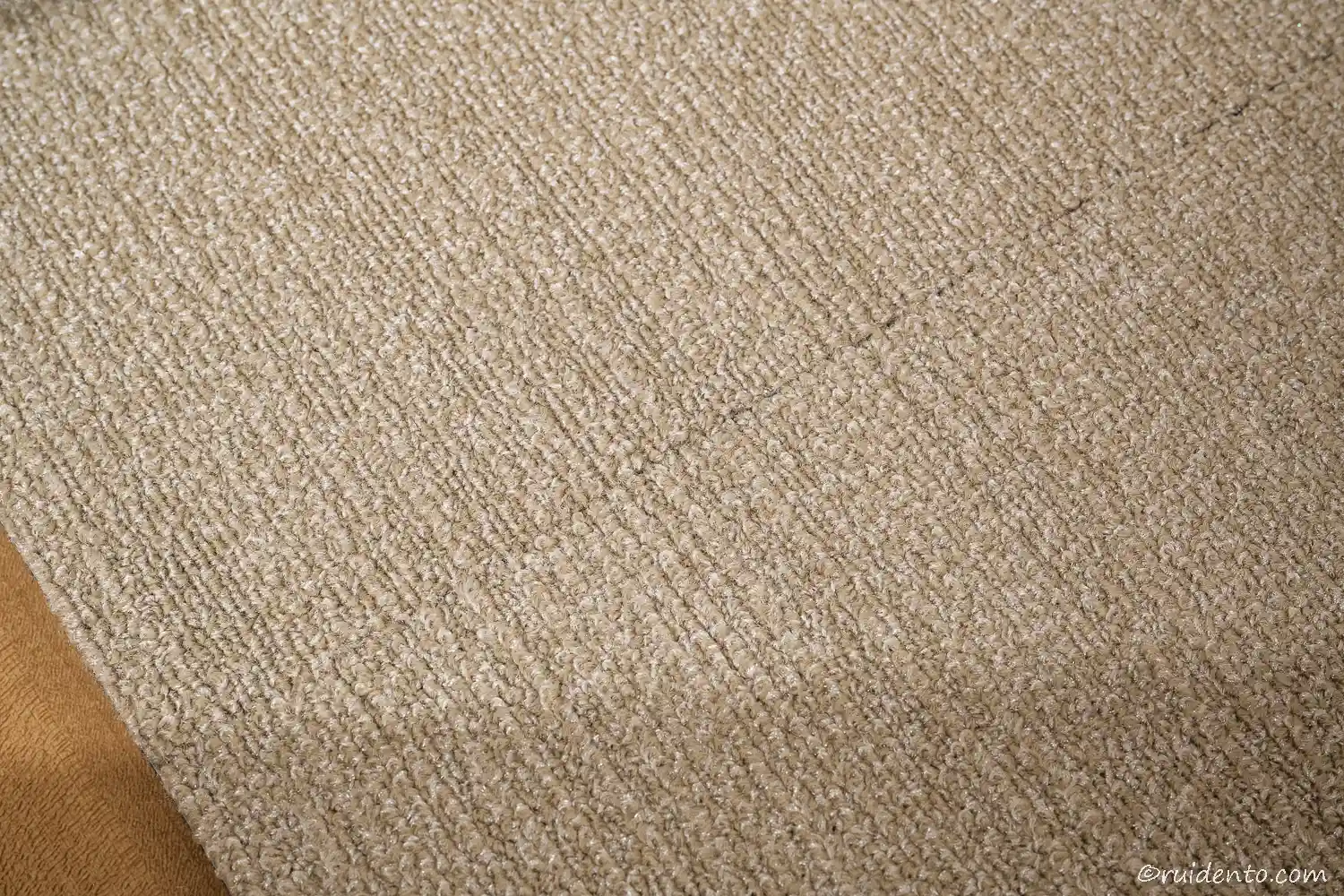 隙間もなくキレイに並べることができた