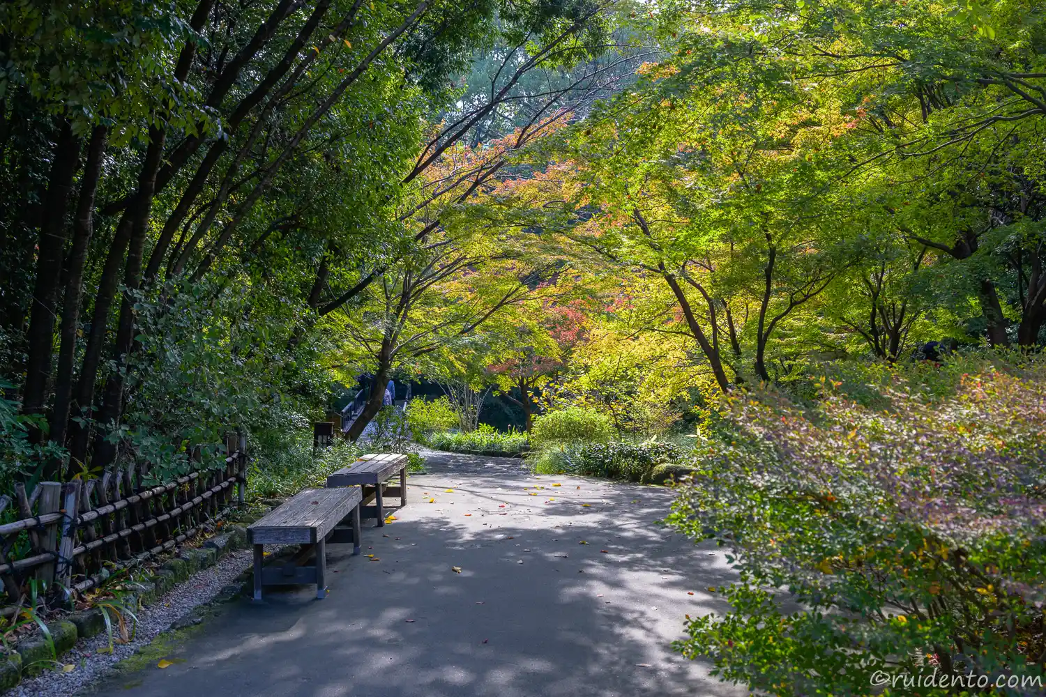 東エリアのベンチ