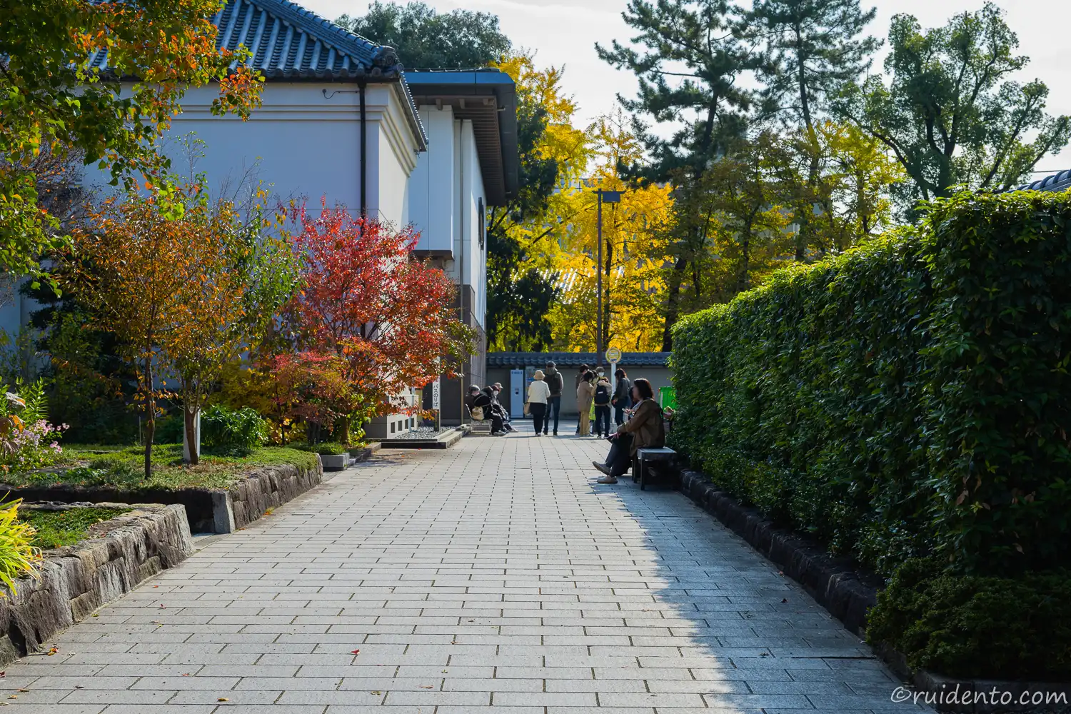 メーグルバス停