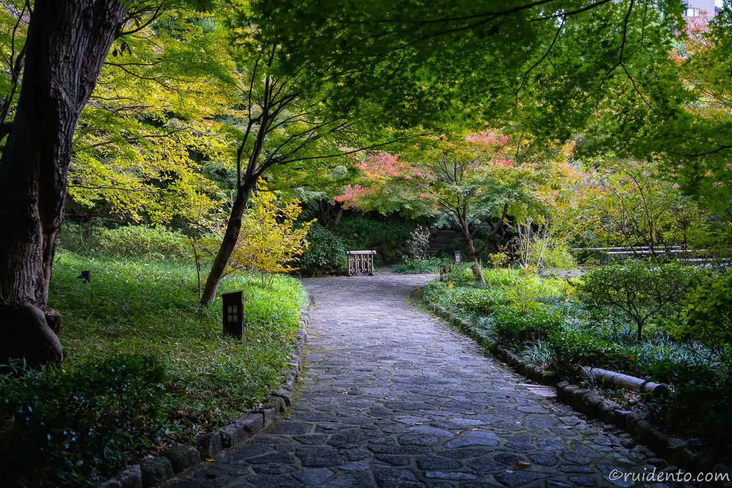 美しく整備された木々