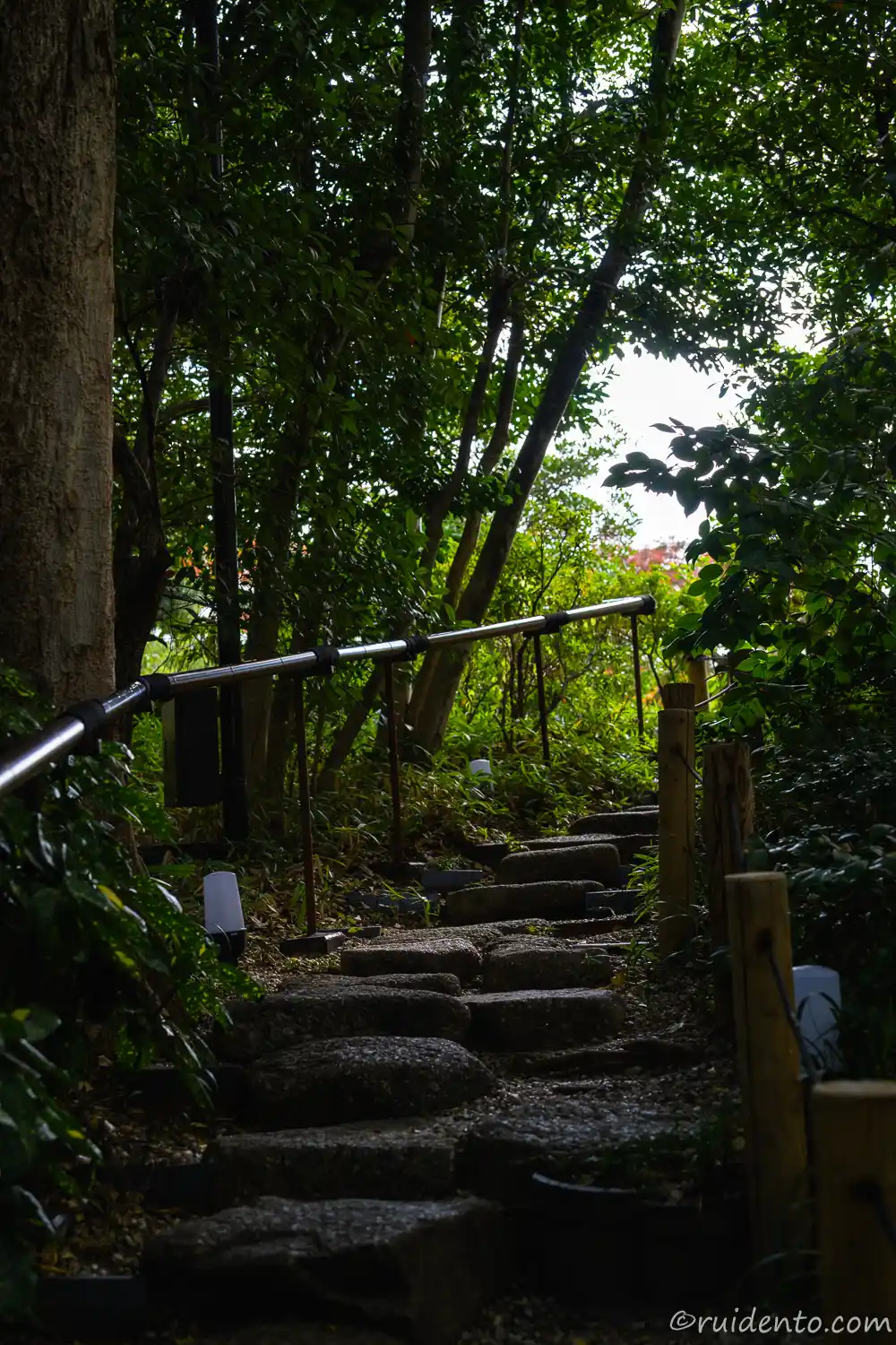 龍門の瀧近くの階段