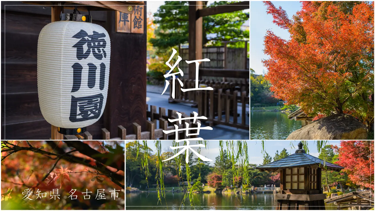 名古屋・徳川園で紅葉スナップ|写真で楽しむ秋の色づき