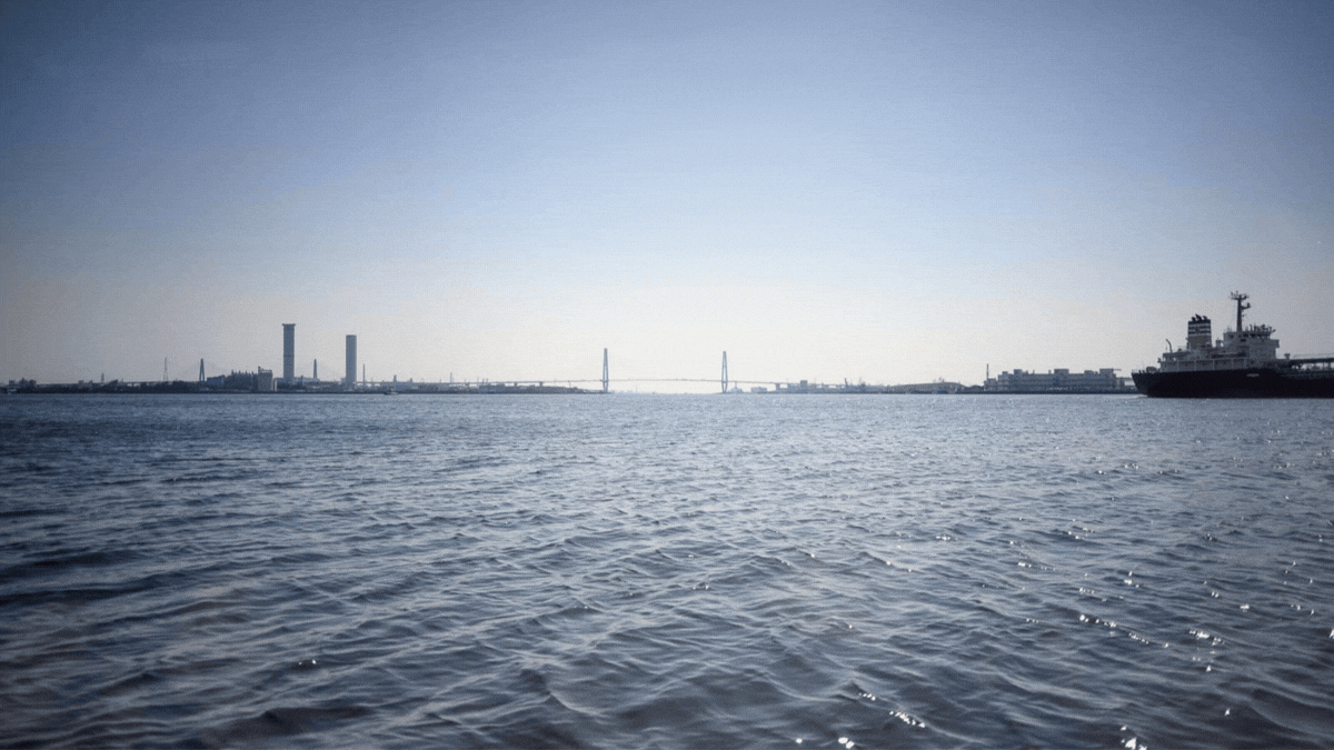 クロップすることで周辺減光も抑えられている。