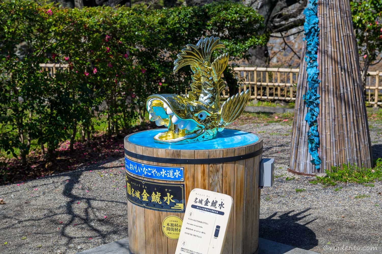 名城金鯱水