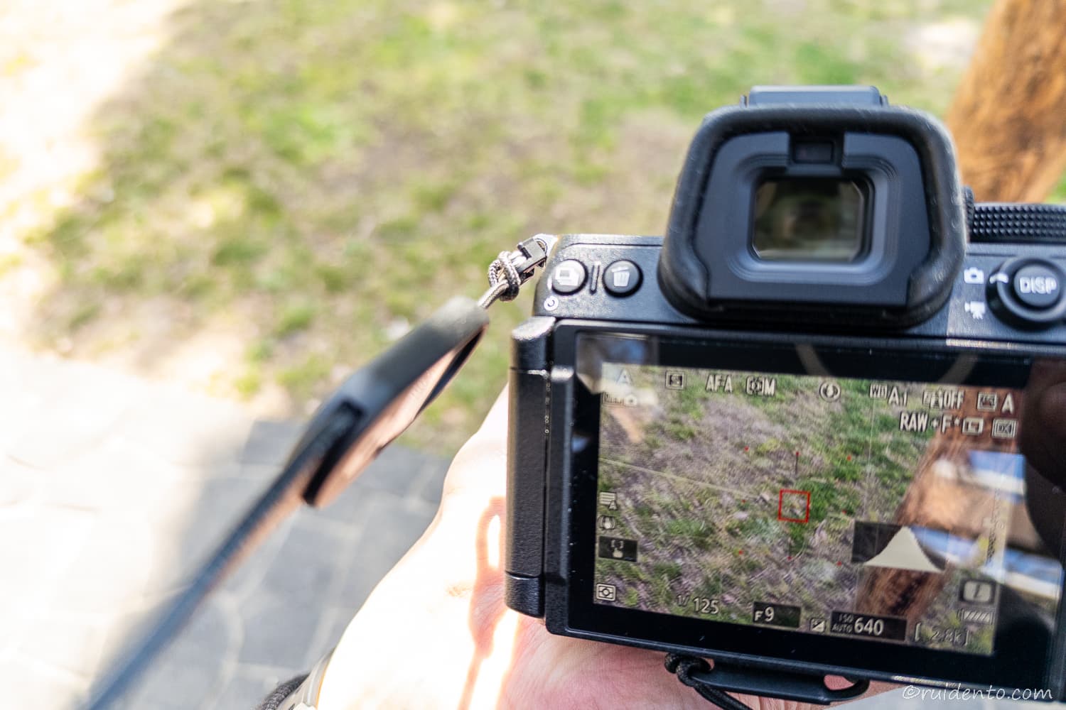 気になったポイント