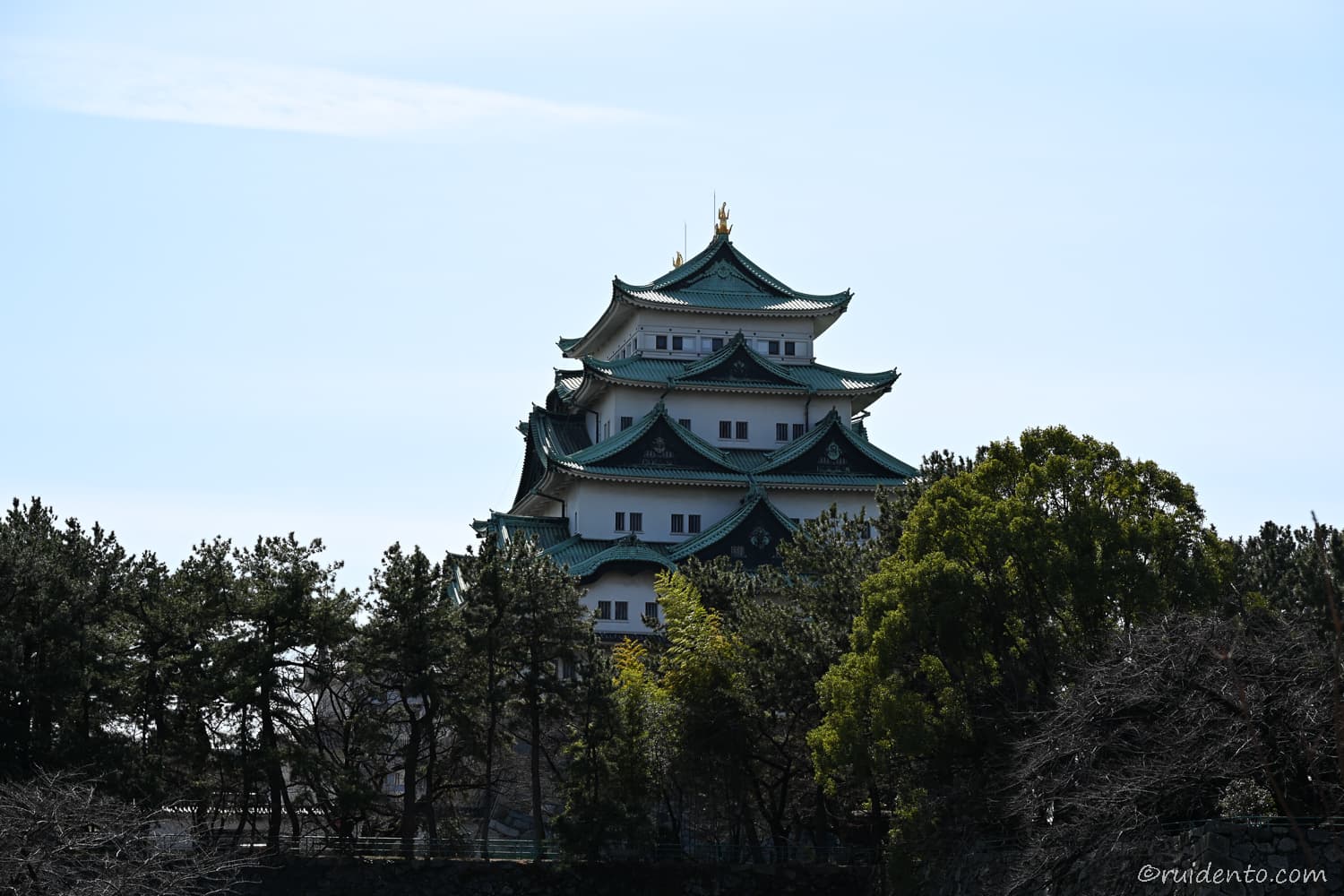 名城公園南側から見る名古屋城