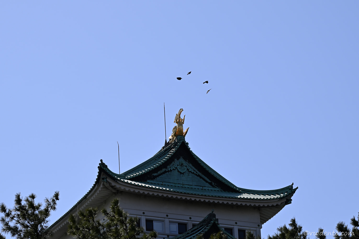天守の屋根にある金の鯱