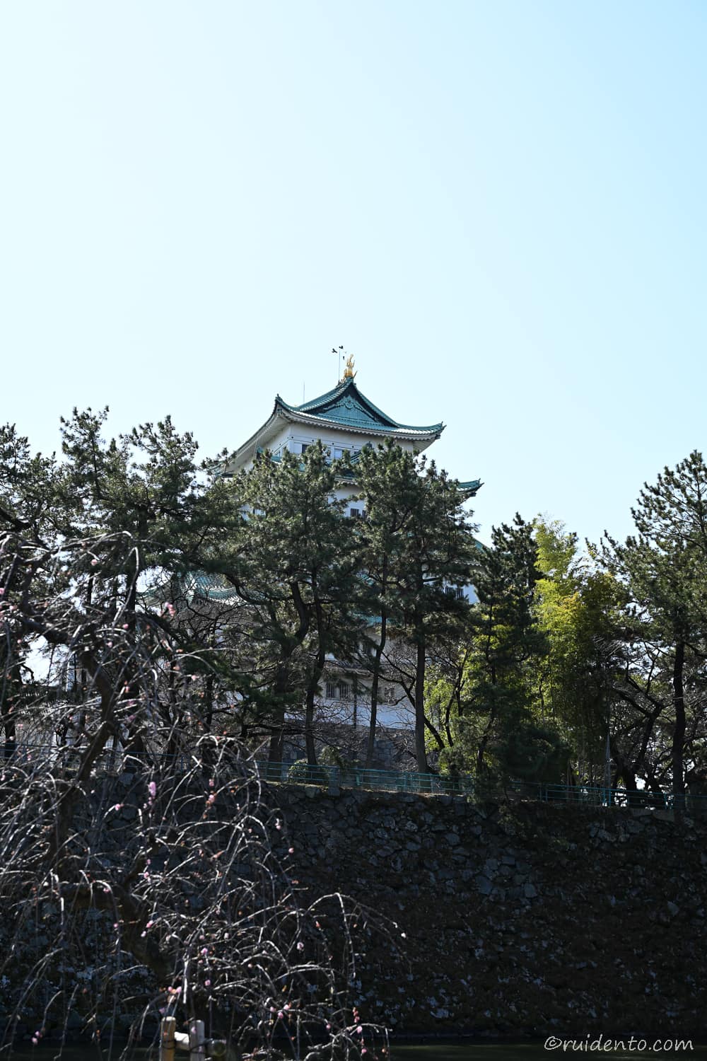 下から見上げる名古屋城